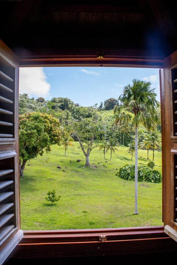 Hotel Jardin Malanga Basse-Terre Exteriér fotografie