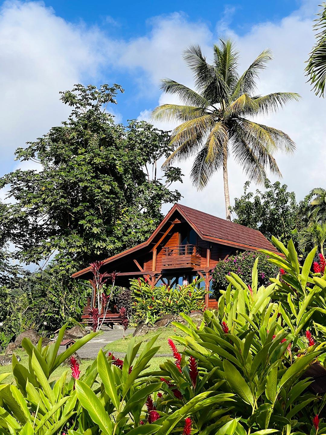 Hotel Jardin Malanga Basse-Terre Exteriér fotografie
