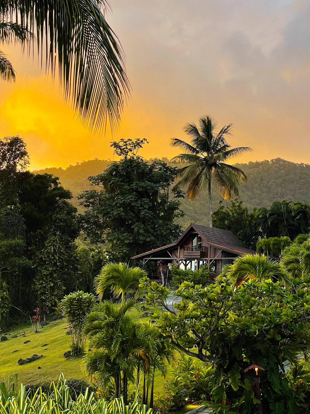 Hotel Jardin Malanga Basse-Terre Exteriér fotografie