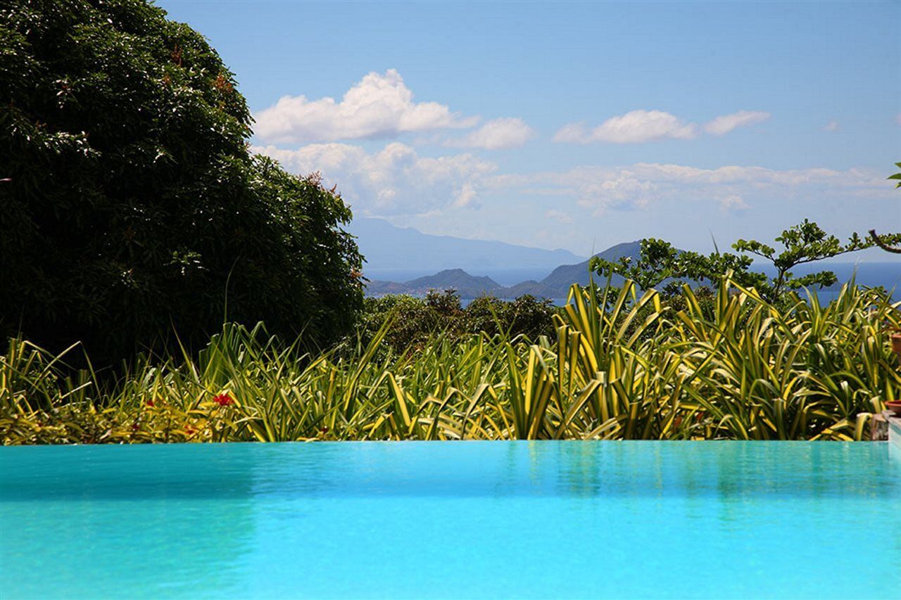 Hotel Jardin Malanga Basse-Terre Exteriér fotografie
